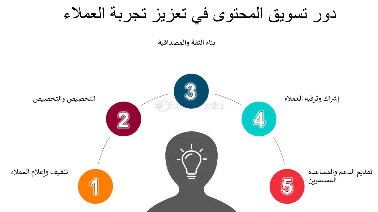 ٢٦